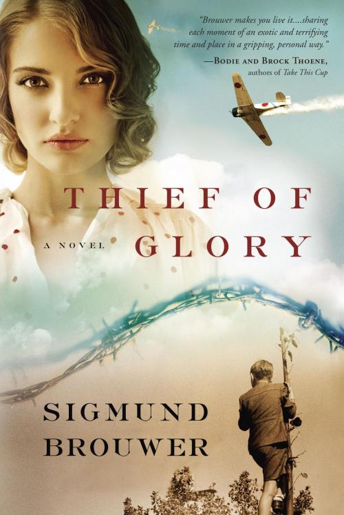 Cover of the book Thief of Glory by Sigmund Brouwer, The Crown Publishing Group