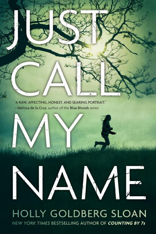 Cover of the book Just Call My Name by Holly Goldberg Sloan, Little, Brown Books for Young Readers