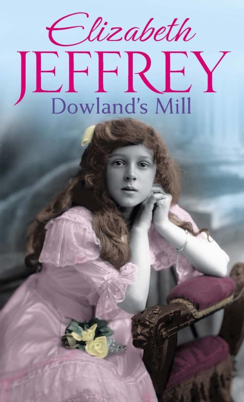 Cover of the book Dowland's Mill by Elizabeth Jeffrey, Little, Brown Book Group