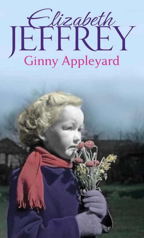 Cover of the book Ginny Appleyard by Elizabeth Jeffrey, Little, Brown Book Group