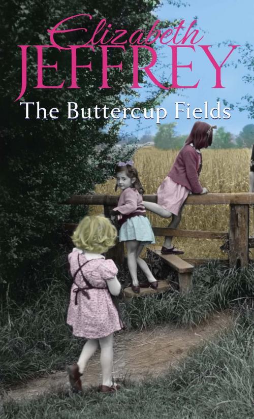 Cover of the book The Buttercup Fields by Elizabeth Jeffrey, Little, Brown Book Group