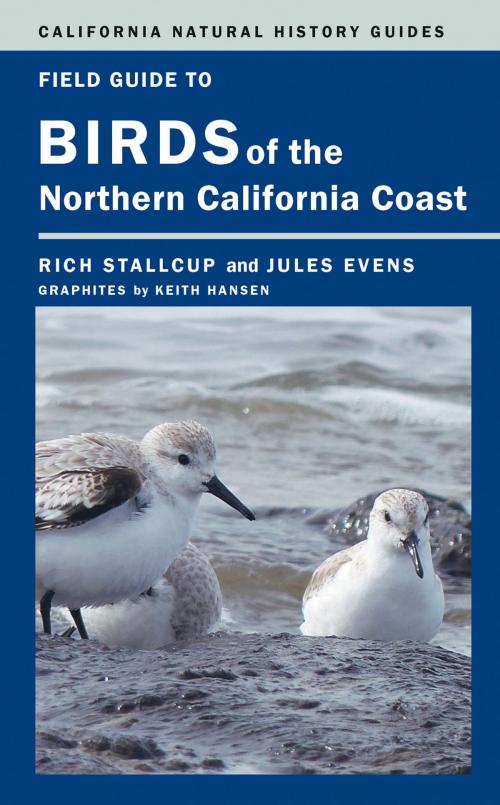 Cover of the book Field Guide to Birds of the Northern California Coast by Rich Stallcup, Jules Evens, University of California Press