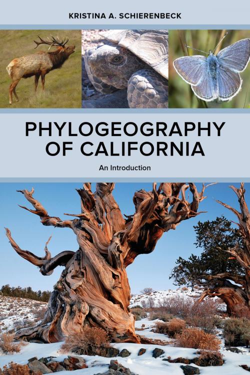 Cover of the book Phylogeography of California by Kristina A. Schierenbeck, University of California Press