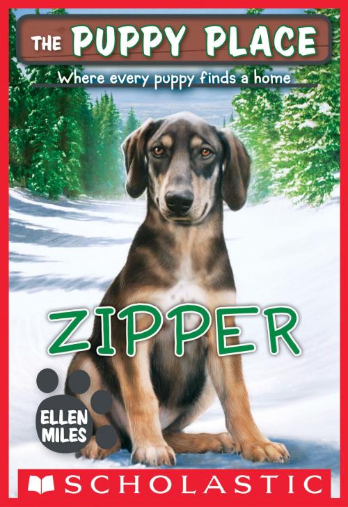 Cover of the book The Puppy Place #34: Zipper by Ellen Miles, Scholastic Inc.