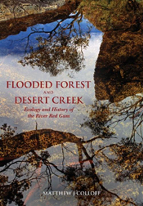 Cover of the book Flooded Forest and Desert Creek by Matthew Colloff, CSIRO PUBLISHING