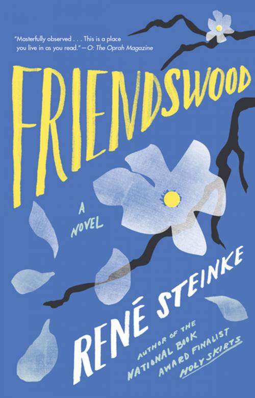 Cover of the book Friendswood by Rene Steinke, Penguin Publishing Group