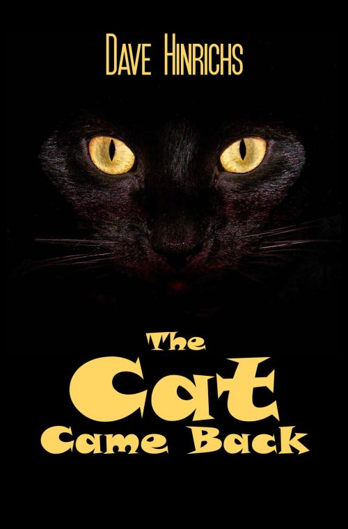 Cover of the book The Cat Came Back by Dave Hinrichs, SynergEbooks