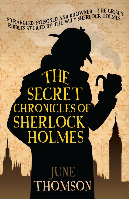Cover of the book The Secret Chronicles of Sherlock Holmes by June Thomson, Allison & Busby