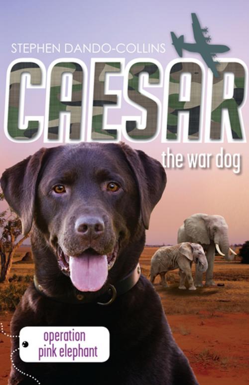 Cover of the book Caesar the War Dog 3: Operation Pink Elephant by Stephen Dando-Collins, Penguin Random House Australia