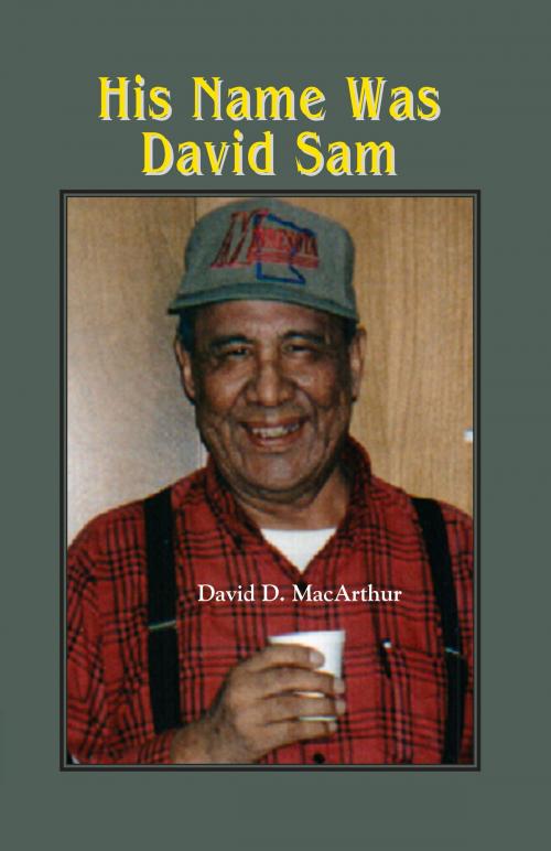 Cover of the book His Name Was David Sam by David D. MacArthur, North Star Press of St. Cloud