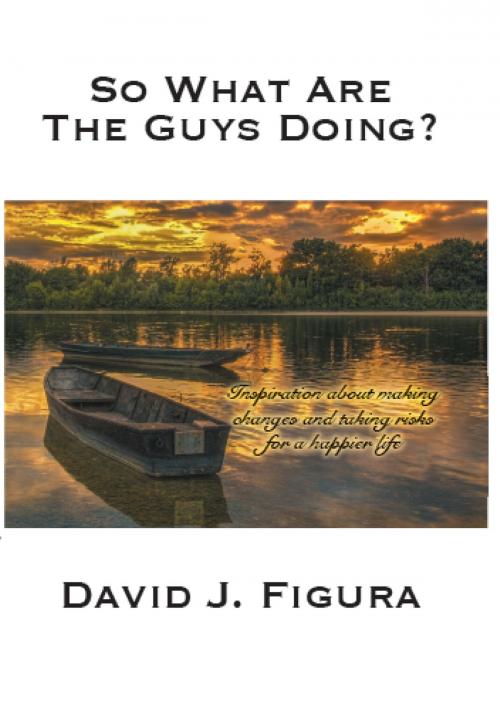 Cover of the book So What Are The Guys Doing? Inspiration About Making Changes And Taking Risks For A Happier Life by David J. Figura, Divine Phoenix