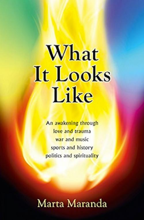 Cover of the book What It Looks Like by Marta Maranda, Alchemadhi Publishing