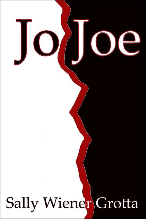 Cover of the book Jo Joe by Sally Wiener Grotta, Pixel Hall Press