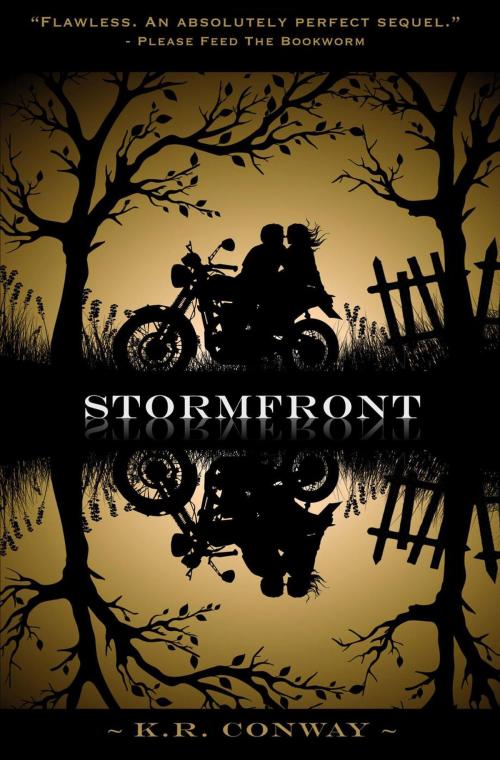 Cover of the book Stormfront by K.R. Conway, K.R. Conway