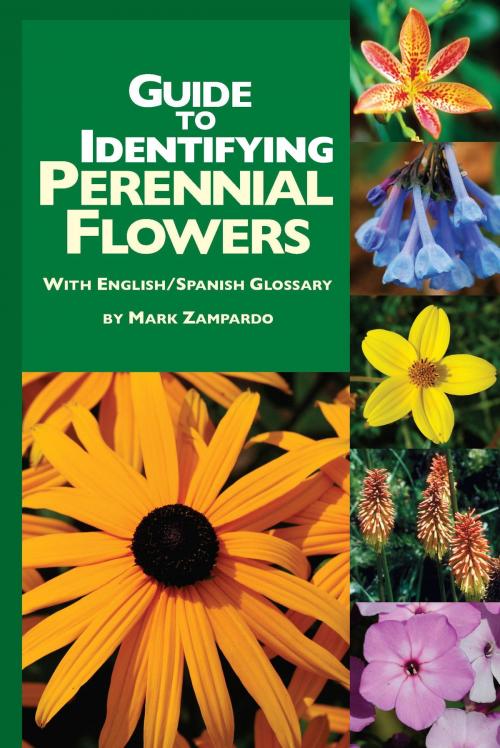 Cover of the book Guide to Identifying Perennial Flowers by Mark Zampardo, Mark Zampardo
