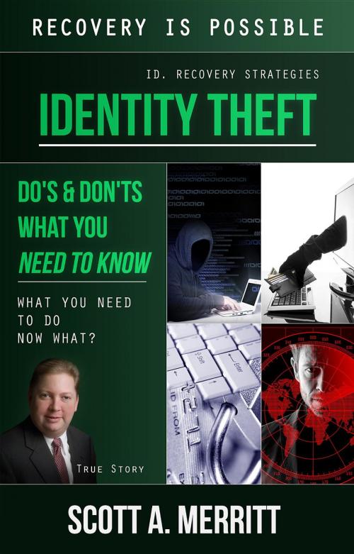 Cover of the book IDENTITY THEFT by Scott A Merritt, Merritt & Associates Inc.