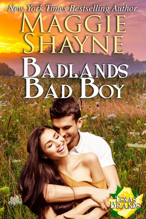 Cover of the book Badlands Bad Boy by Maggie Shayne, Thunderfoot Publishing
