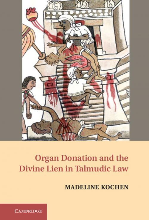 Cover of the book Organ Donation and the Divine Lien in Talmudic Law by Madeline Kochen, Cambridge University Press