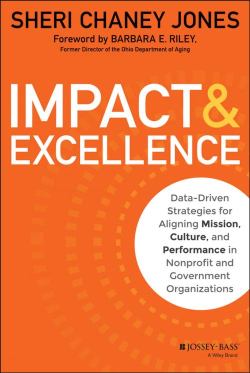 Cover of the book Impact & Excellence by Sheri Chaney Jones, Wiley
