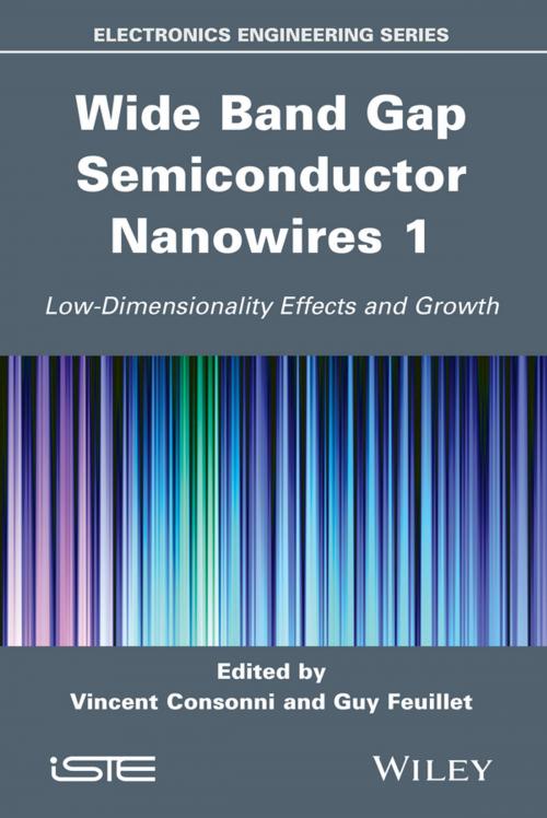 Cover of the book Wide Band Gap Semiconductor Nanowires 1 by Robert Baptist, Wiley