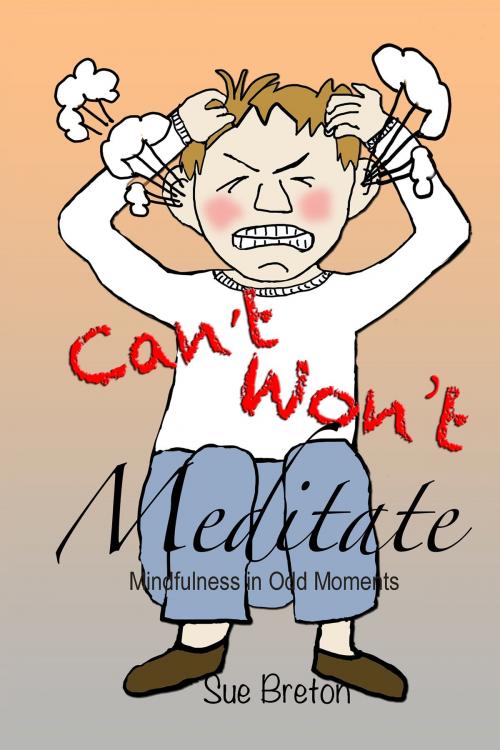 Cover of the book Can't Meditate, Won't Meditate by Sue Breton, Sue Breton
