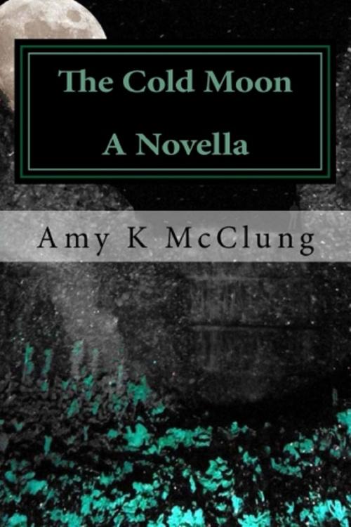 Cover of the book The Cold Moon (The Parker Harris Series Book #4) by Amy K McClung, Amy K McClung