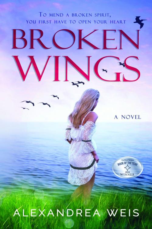 Cover of the book Broken Wings by Alexandrea Weis, Alexandrea Weis