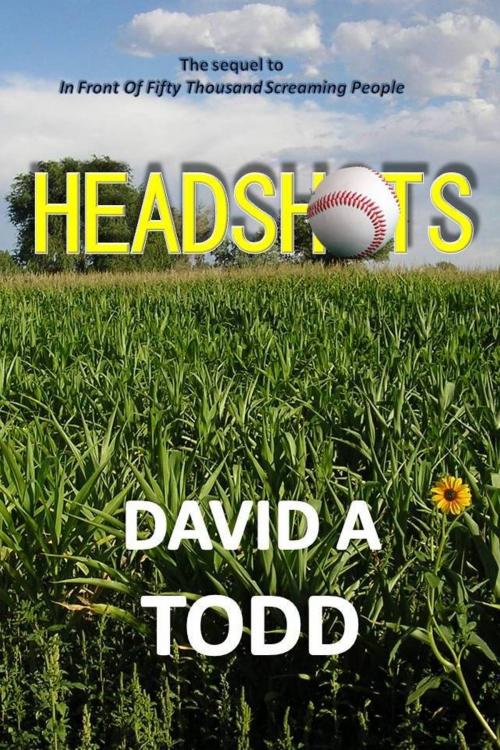 Cover of the book Headshots by David Todd, David Todd