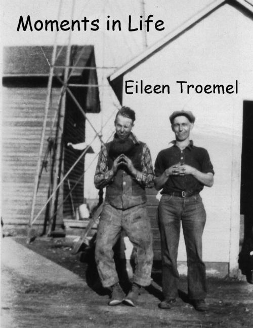 Cover of the book Moments in Life by Eileen Troemel, Eileen Troemel
