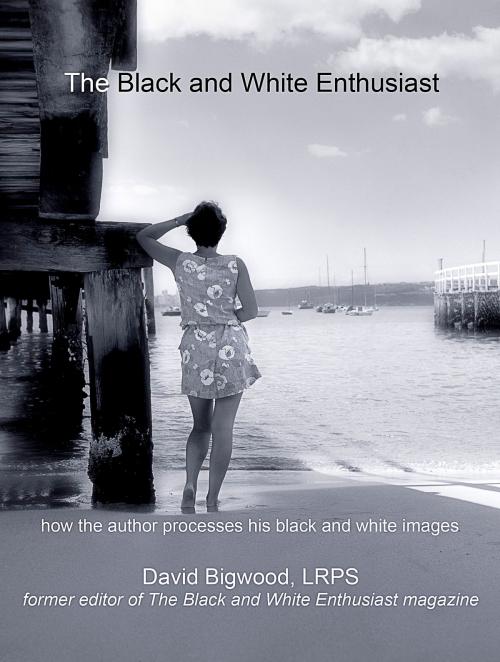 Cover of the book The Black and White Enthusiast by David Bigwood, David Bigwood
