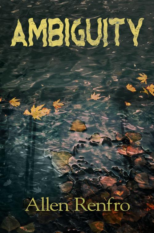 Cover of the book Ambiguity by Allen Renfro, Allen Renfro