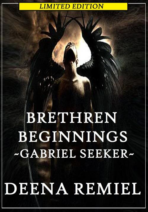 Cover of the book Brethren Beginnings ~ Gabriel Seeker by Deena Remiel, Deena Remiel