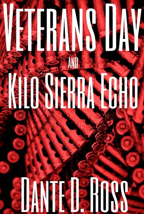 Cover of the book Veterans Day by Dante D. Ross, Dante D. Ross