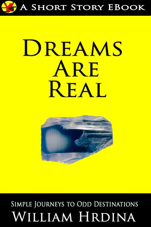 Cover of the book Dreams Are Real by William Hrdina, William Hrdina