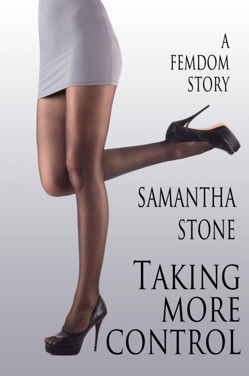Cover of the book Taking More Control by Samantha Stone, Samantha Stone