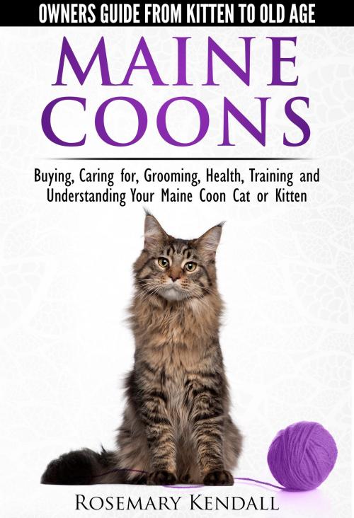 Cover of the book Maine Coons: Owners Guide from Kitten to Old Age. Buying, Caring for, Grooming, Health, Training and Understanding Your Maine Coon Cat or Kitten. by Rosemary Kendall, Rosemary Kendall