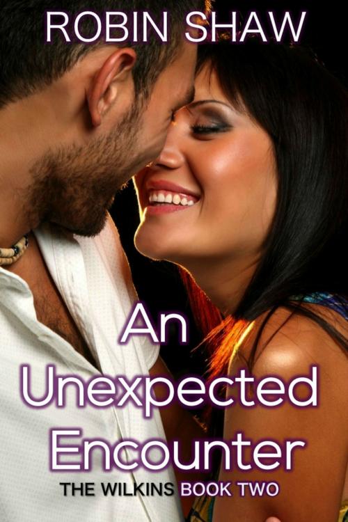 Cover of the book An Unexpected Encounter: The Wilkins (Book 2, Contemporary Romance) by Robin Shaw, Robin Shaw