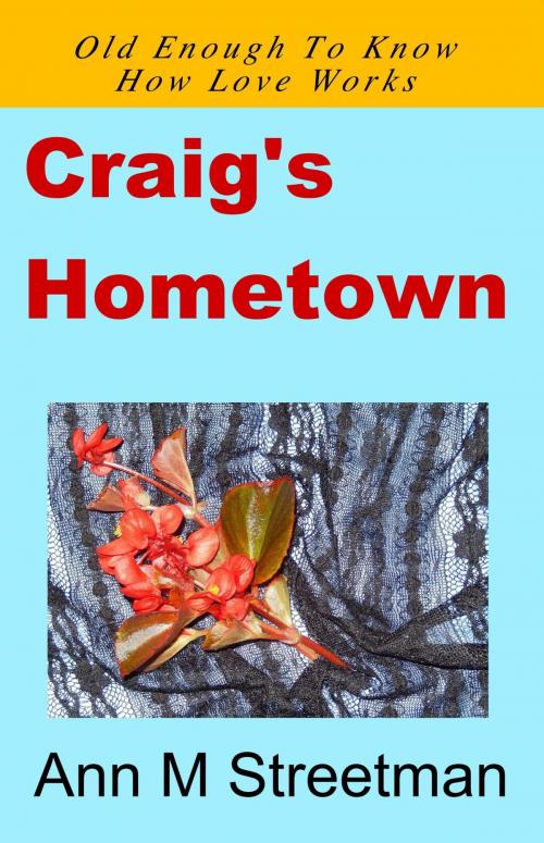 Cover of the book Craig's Hometown by Ann M Streetman, Ann M Streetman
