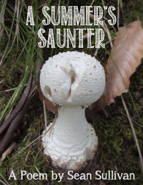 Cover of the book A Summer's Saunter by Sean Sullivan, Sean Sullivan