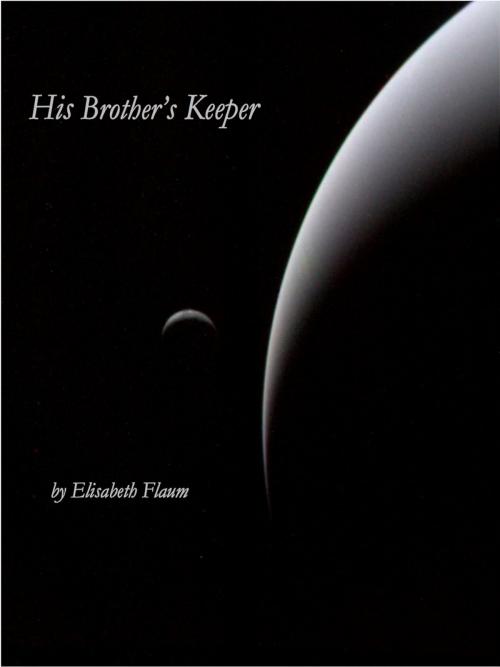 Cover of the book His Brother's Keeper by Elisabeth Flaum, Elisabeth Flaum