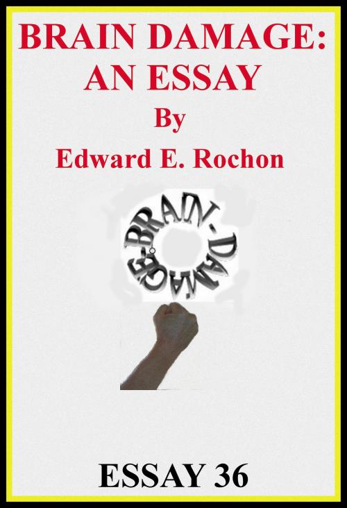 Cover of the book Brain Damage: An Essay by Edward E. Rochon, Edward E. Rochon