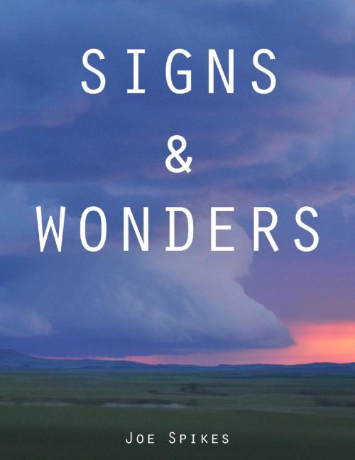 Cover of the book Signs & Wonders by Joe Spikes, Lulu.com