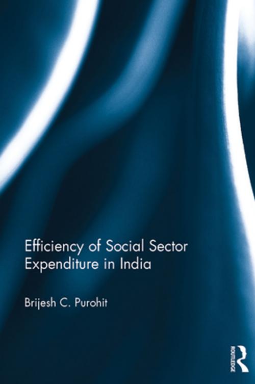 Cover of the book Efficiency of Social Sector Expenditure in India by Brijesh C Purohit, Taylor and Francis