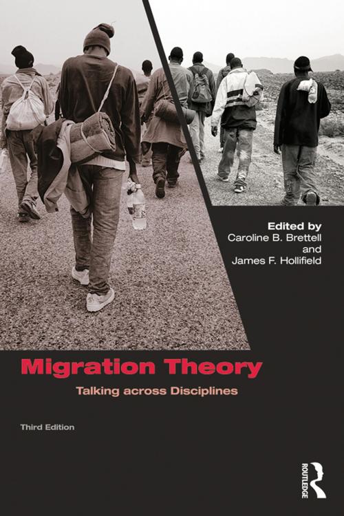 Cover of the book Migration Theory by , Taylor and Francis