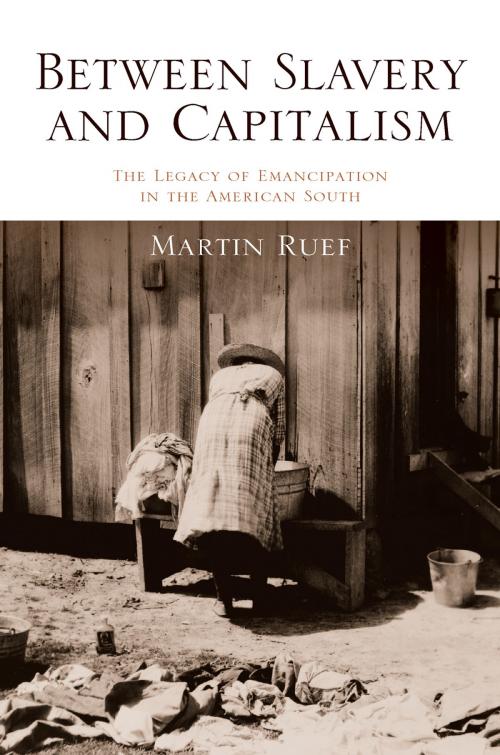 Cover of the book Between Slavery and Capitalism by Martin Ruef, Princeton University Press