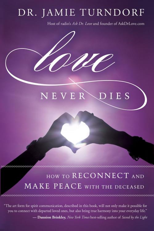 Cover of the book Love Never Dies by Dr. Jamie Turndorf, Hay House