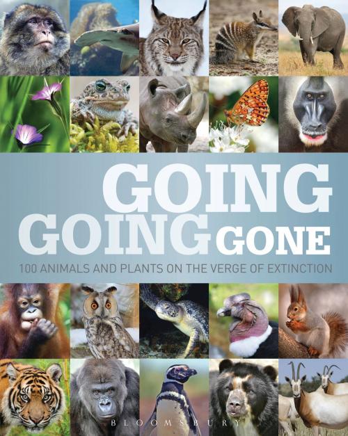 Cover of the book Going, Going, Gone by Bloomsbury Publishing, Bloomsbury Publishing