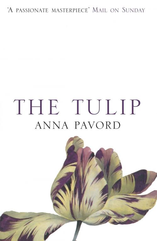 Cover of the book The Tulip by Anna Pavord, Bloomsbury Publishing