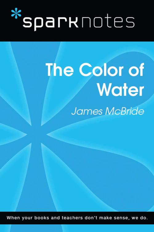 Cover of the book The Color of Water (SparkNotes Literature Guide) by SparkNotes, Spark