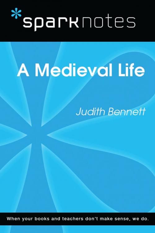Cover of the book A Medieval Life (SparkNotes Literature Guide) by SparkNotes, Spark